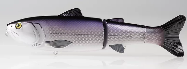 Baitsanity Explorer Gen 2 Glide Hard Body