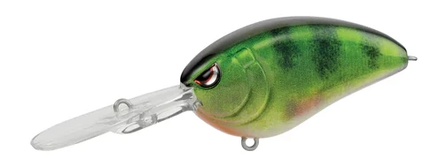 Spro Little John Baby DD Crankbaits