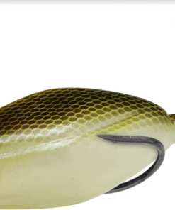 Teckel Sprinker Frog Frogs