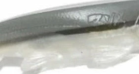 3:16 Lure Company Shad