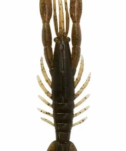 Bottom Up Hurry Shrimp