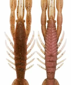 Bottom Up Hurry Shrimp