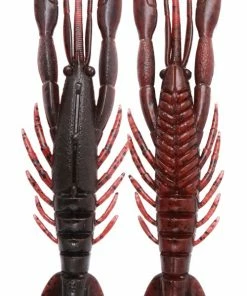 Bottom Up Hurry Shrimp