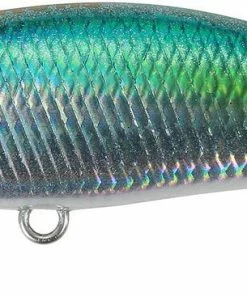 Duo Realis Tetra Works Toto 42S