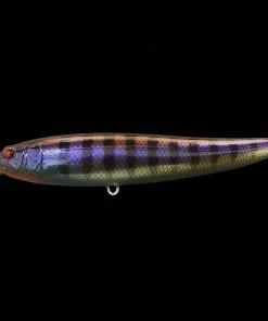 DrancKrazy Walking Tailot