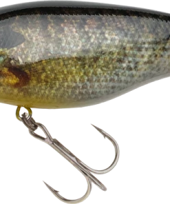 Imakatsu Bull Bison 400 Medium Diving (8-14ft.)