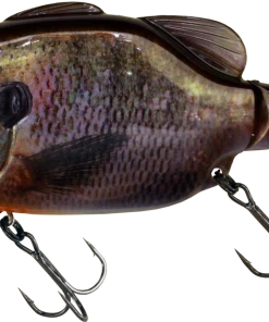 Imakatsu Poppers Kominami Gill Pop