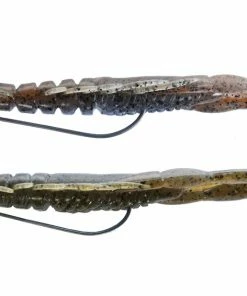 Bottom Up Hurry Shrimp