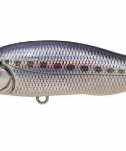 Megabass X-80 Trick Darter