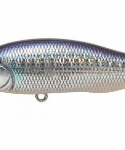 Megabass X-80 Trick Darter